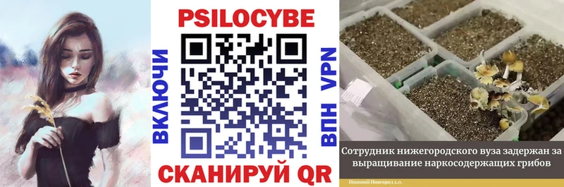 МЕГА как войти  Хилок  Галлюциногенные грибы мухоморы 